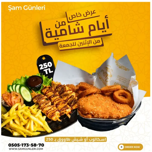 وجبة اسكالوب أو شيش طاووق
